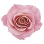 Siàge Máscara Capilar Nutri Rosé 250g