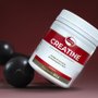 Vitafor Creatine Pó 300g